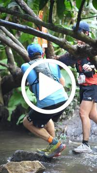 BIB:  <button type="button" onclick="openModal(27824445)" class="btn btn-primary btn-sm float-right" data-toggle="modal" data-target=".modal-high-quality">
                <i class="fa fa-download"></i> Download
                </button>